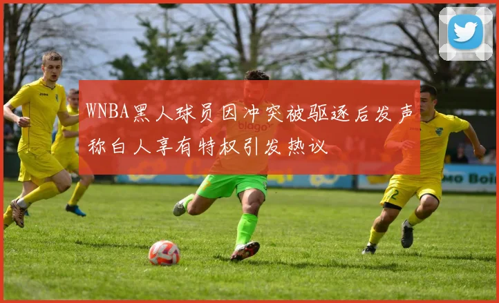 WNBA黑人球员因冲突被驱逐后发声称白人享有特权引发热议