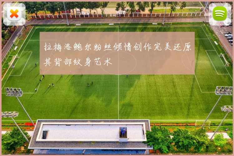 拉梅洛鲍尔粉丝倾情创作完美还原其背部纹身艺术